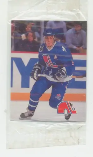 1992-93 HUMPTY DUMPTY - JOE SAKIC