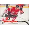 2009-10 O-PEE-CHEE - SHAWN HORCOFF #CB-SH CANADIAN HEROES