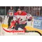 2009-10 O-PEE-CHEE - DAN HAMHUIS #CB-DH CANADIAN HEROES
