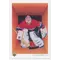 1990-91 UPPER DECK - PATRICK ROY #317 CHECKLIST