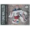 2018-19 UPPER DECK - SERGEI BOBROVSKY #SW-31 STONEWALLED