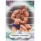 2021 Topps WWE - Timothy Thatcher #189 RC
