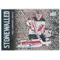 2018-19 UPPER DECK - CORY SCHNEIDER #SW-5 STONEWALLED