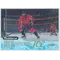 2018-19 Upper Deck Parkhurst Alex Ovechkin View From the Ice #VI-10