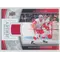 2013-14 Upper Deck Nicklas Lidstrom Game Jersey #GJ-NL