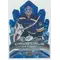 2021-22 UPPER DECK ICE - JORDAN BINNINGTON #IC-25 ICE CRYSTALS